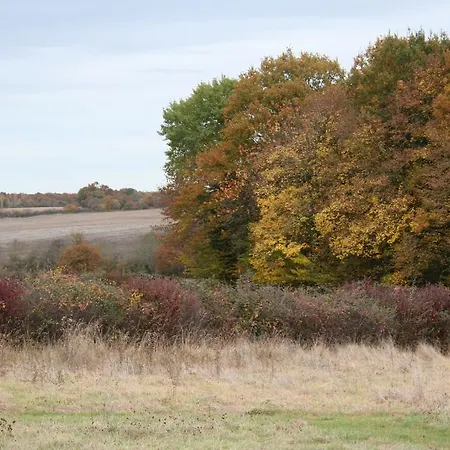 Cricri / Rust.stilte.platteland *