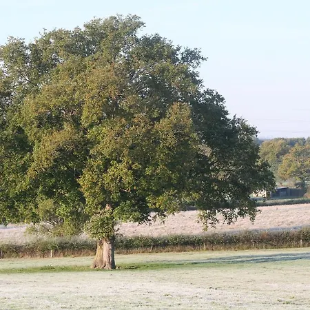 Cricri / Rust.stilte.platteland
