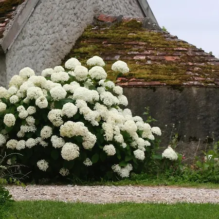 Cricri / Rust.stilte.platteland Casa vacanze *